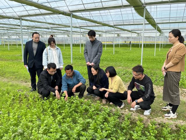 江西新干：“青苗计划”厚植乡村人..